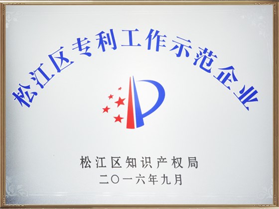 松江區(qū)專利示范企業(yè)