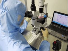 細胞技術(shù)服務(wù)與技術(shù)創(chuàng)新發(fā)展